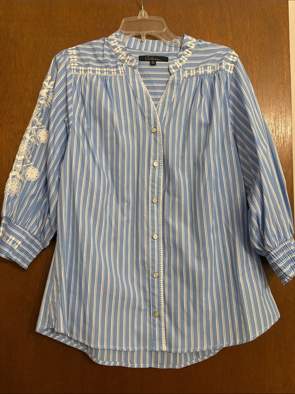 Calessa Blue and White Striped Embroidered Button-Down Top